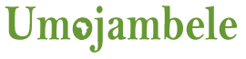 dark logo